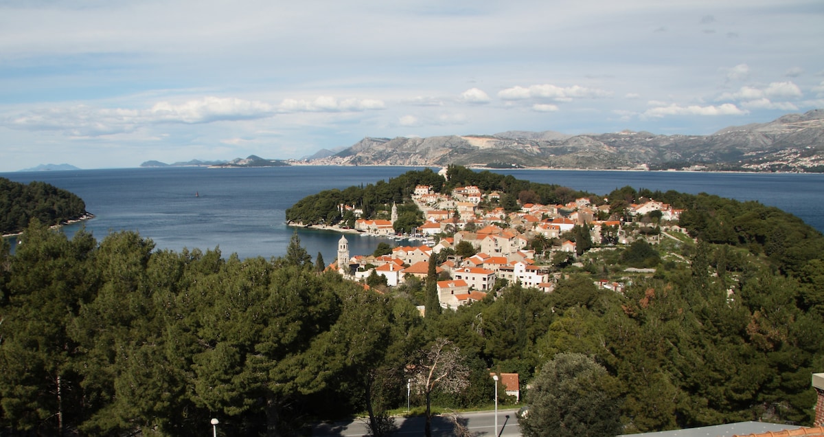 Aerial view of Cavtat